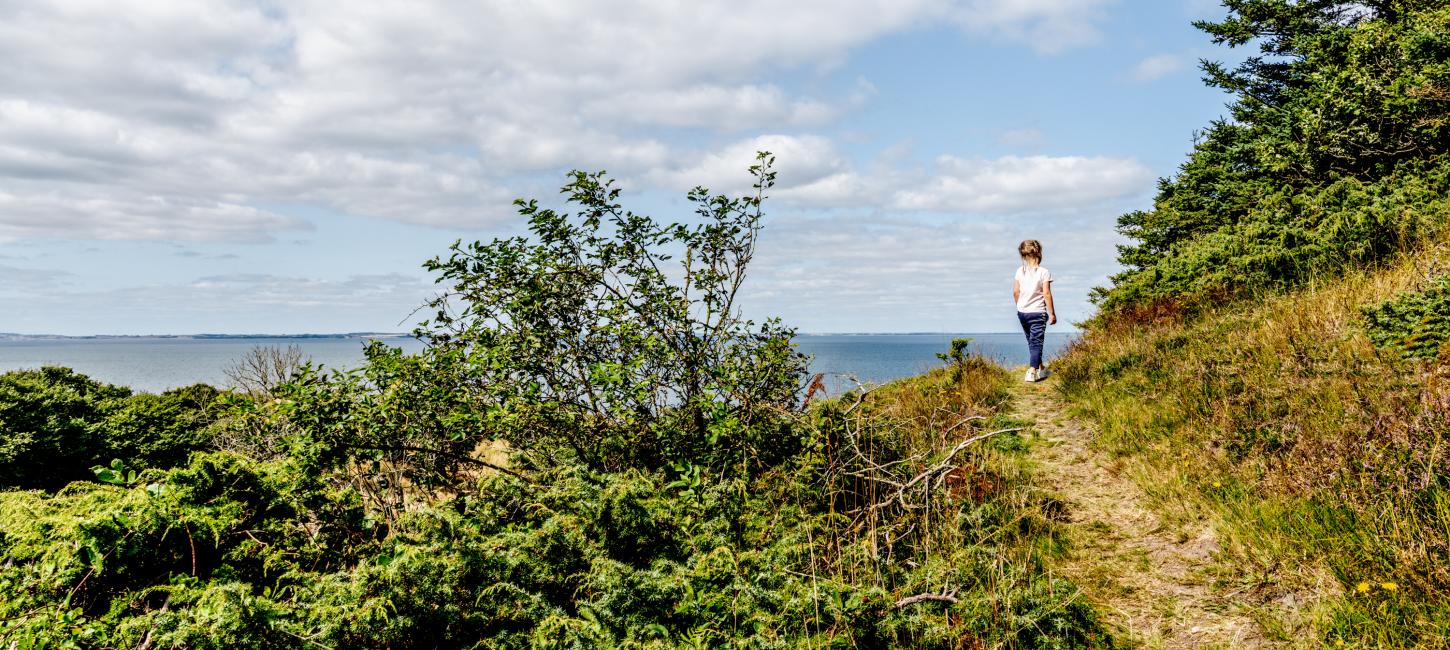 Livø - naturen i Himmerland